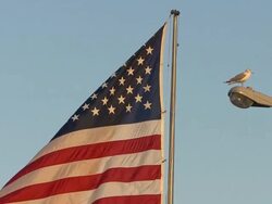 National Flag of America Stock Footage