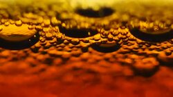Beer bubbles Stock Footage