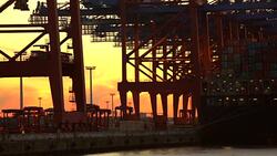 Shipyard with forklifts by sunset Stock Footage