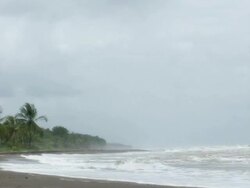 Stormy Beach (PAL) Stock Footage