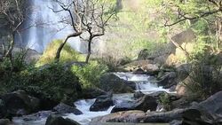 Waterfall in rainforest Stock Footage