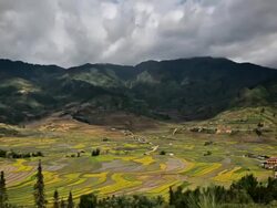 time lapse of terraced rice field in Tule Village Stock Footage
