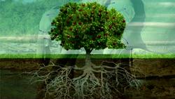 The Biological Role of Osmosis Instructional Video