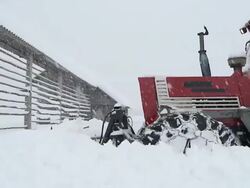 HD SLOW-MOTION: Cleaning country road Stock Footage