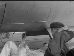 CANBERRA TRIES FOR NEW RECORD News Clip