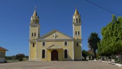 Scorpion bites rise in Brazil Instructional Video