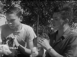 1952: LABETTE COUNTY AGRICULTURAL STUDENTS: VS Instructor Courtney Bennett showing Labette County High School students how to notch pig ears to keep track of pig type on farm (SOT), students holding baby pigs (piglet). Kansas, KS, education Instructional Video