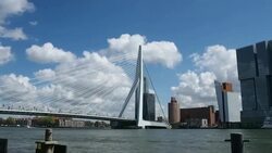 Bridge in Rotterdam, Netherland Stock Footage