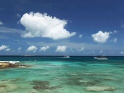 Felicite (snorkling) Stock Footage