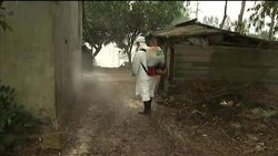 +4:3 Bird flu back in Asia, killing people and fowl in several countries News Clip