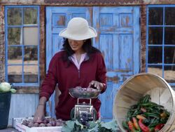 Hispanic woman weighing radishes at a farmer's market Stock Footage