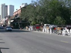 Decatur Street traffic facing downtown New Orleans Stock Footage
