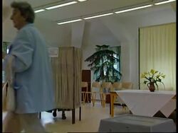 Czechs vote in historic first for ex-Communist Europe News Clip