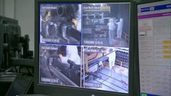 A security monitor shows four camera views near two computer screens. Stock Footage