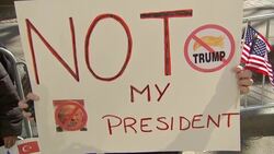 New York Protesters Criticize Trump Instructional Video