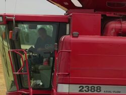 Harvesting winter wheat Stock Footage