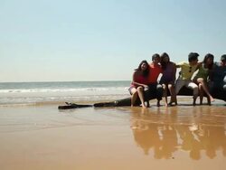 Group of friends sitting on a fallen tree on the beach Stock Footage