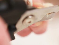 Macro cat getting nails cut Stock Footage