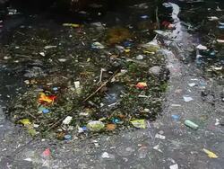 Sea Pollution Stock Footage