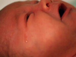 Crying Newborn - NTSC Stock Footage