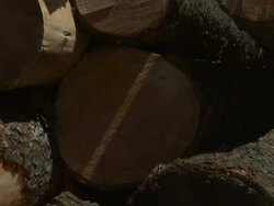Medium Close Up crane-The ends of logs reveal a variety of marks and cuts. / Oregon, USA Stock Footage