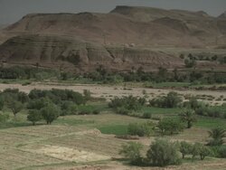 Lush North African vegetation, set against the backdrop of the mountains. Stock Footage