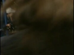 'Adaptation' Premiere Stock Footage