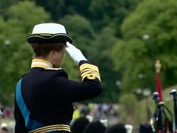 Princess Anne, The Princess Royal attends Armed forces day in Stirling News Clip