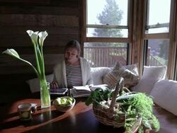 MS Sitting woman oprating tablet and reading book / Los Angeles, California, United States Stock Footage