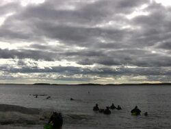 Divers Stock Footage