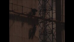 GS 12 5 82 PREPARATIONS FOR VISIT OF POPE JOHN PAUL II TO LISBON Instructional Video