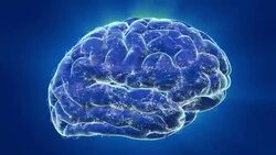 Brain Waves Stock Footage