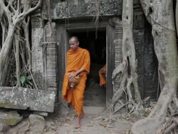 WS Buddhist monks walk out of an ancient jungle temple through tree roots and branches carrying alms bowls to collect offerings in Angkor Wat / Siem Reap, Cambodia Stock Footage