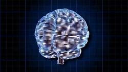 A rotating human brain electrically charged with thought (Loop). Stock Footage