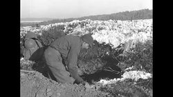 Soldier digs a foxhole on the Western Front during World War II News Clip