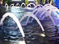 Beautiful fountain in the night Stock Footage