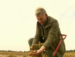 Food Prices to Rise by up to 15 Percent News Clip