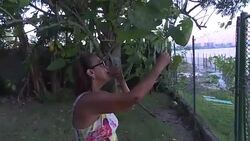 CLEAN : Sad goodbye for last Rio Olympic Park resident before demolition News Clip