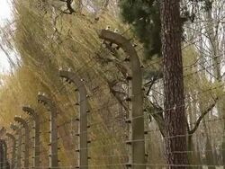 Preparations For The 70th Anniversary Of The Liberation Of Auschwitz-Birkenau Stock Footage