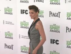 Clotilde Courau at the 2014 Film Independent Spirit Awards - Arrivals Stock Footage