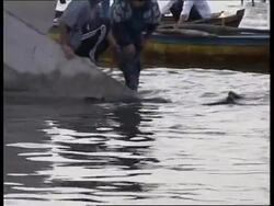 TURKEY: EARTHQUAKE AFTERSHOCK - SEARCH FOR SURVIVORS (2) News Clip