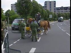 WRAP: Adds arrests to earlier protests and opening News Clip