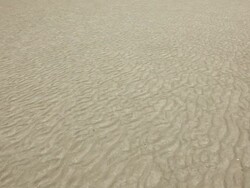 Hiking on a Beach Stock Footage