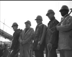 WHAT TO WEAR News Clip