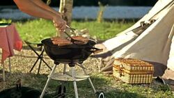 Grilling Meat On Barbecue Stock Footage
