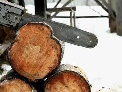 Chainsaw Stock Footage