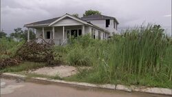 Uncut grass and an abandoned house are on a street flooded after Hurricane Katrina.. Stock Footage