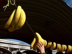 HD: Selling Bananas Stock Footage