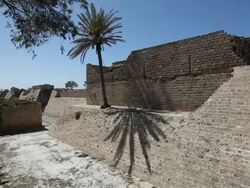 Crusader Walls, Fortification and Moat, Caesarea, Israel Stock Footage