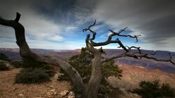 Grand Canyon National Park Stock Footage